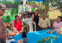 Intercambio de Saberes Fortalece Negocios Creativos en la Costa Caribe Foto: Intercambio de Saberes Fortalece Negocios Creativos en la Costa Caribe/Cortesía
