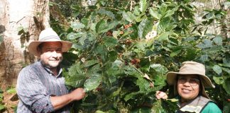 Foto: MARENA Impulsa Prácticas Ambientales en la Finca Líbico de Matagalpa/Cortesía