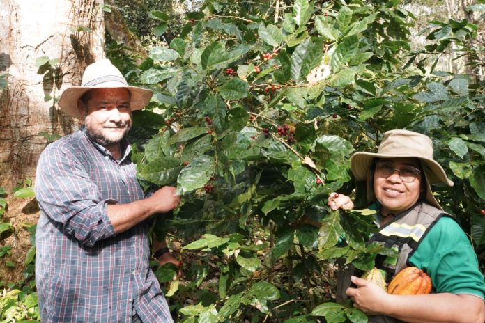Foto: MARENA Impulsa Prácticas Ambientales en la Finca Líbico de Matagalpa/Cortesía