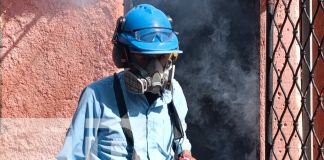 Foto: intensifica esfuerzos para erradicar el dengue en Managua / TN8
