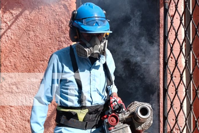 2 Foto: intensifica esfuerzos para erradicar el dengue en Managua / TN8