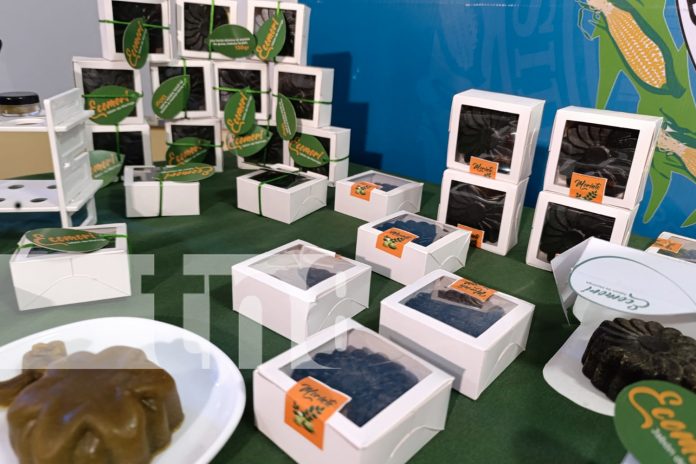 Foto: UNA presenta el camino del Marango hacia la innovación /TN8