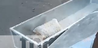 Foto: suceso inesperado y perturbador en Managua/TN8