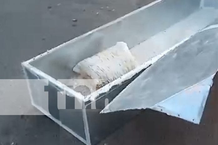 Foto: suceso inesperado y perturbador en Managua/TN8