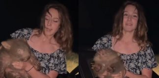 Foto: El irresponsable acto de una influencer con un wómbats que provocó repudio en redes/Cortesía
