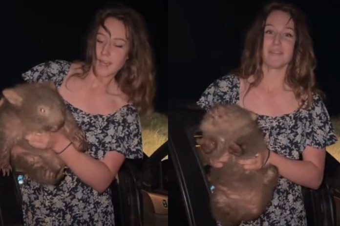 2 Foto: El irresponsable acto de una influencer con un wómbats que provocó repudio en redes/Cortesía