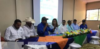 Foto: Nicaragua impulsa el sector lácteo /cortesía