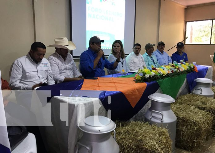 Foto: Nicaragua impulsa el sector lácteo /cortesía