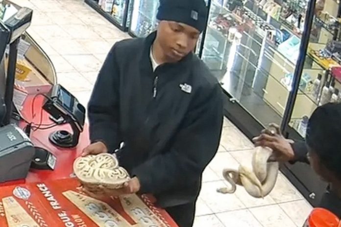 Roban en gasolinera de EEUU con dos serpientes /cortesía