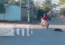 ¡Indignante! Motorizado arrastra a canino por las calles de Tipitapa (VIDEO) Foto: Indignante suceso en Tipitapa/TN8