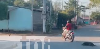 Foto: Indignante suceso en Tipitapa/TN8