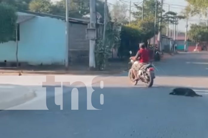 Foto: Indignante suceso en Tipitapa/TN8 Foto: Indignante suceso en Tipitapa/TN8