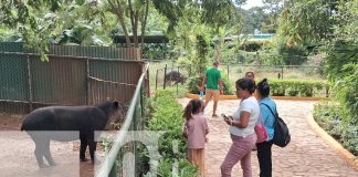 Foto: Zoológico Nacional: Un espacio de diversión y aprendizaje para las familias/TN8