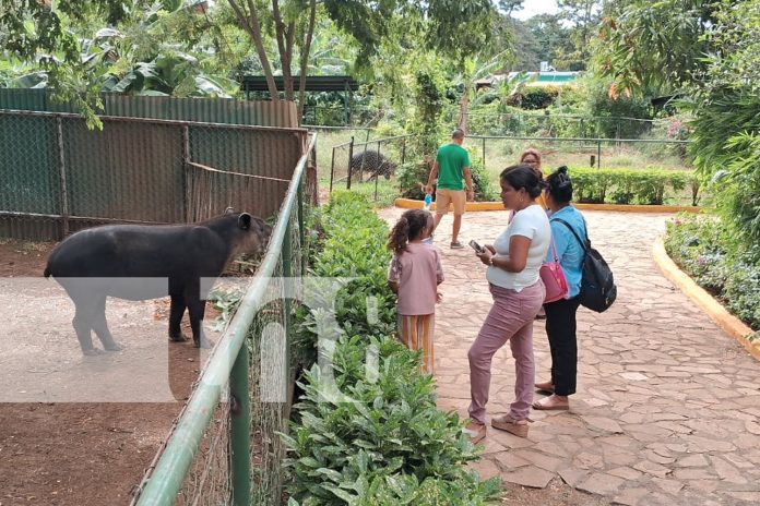 2 Foto: Zoológico Nacional: Un espacio de diversión y aprendizaje para las familias/TN8