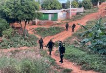¡Impactante! Asesinan a 4 trabajadores cafetaleros en Colombia Foto: Asesinato en el municipio de Antioquia, Colombia/Cortesía