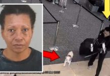 Niegan abordaje a su perro y decide ahogarlo en un baño del aeropuerto de EEUU Foto: Arrestan a mujer por ahogar a su perro en EE.UU./Cortesía