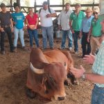 INTA promueve avances en reproducción bovina con ganaderos de Chontales Foto: INTA promueve avances en reproducción bovina con ganaderos de Chontales / Cortesía