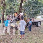 Camión se estrella contra un árbol en Mulukukú: Cuatro personas resultan heridas Foto: Camión se estrella contra un árbol en Mulukukú: Cuatro personas resultan heridas/TN8