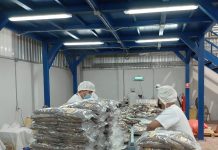 Foto: El IPSA inspecciona la planta LUNIC SA en Masatepe para garantizar el cumplimiento de normas sanitarias en la producción