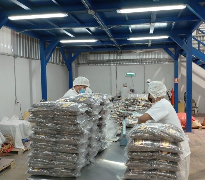 Foto: El IPSA inspecciona la planta LUNIC SA en Masatepe para garantizar el cumplimiento de normas sanitarias en la producción