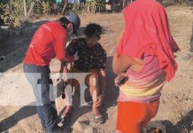 Enjambre de abejas afecta a varias personas en la comunidad El Dorado de Estelí Foto: Enjambre de abejas afecta a varias personas en la comunidad El Dorado de Estelí/TN8