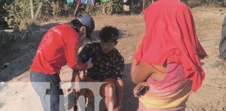 Foto: Enjambre de abejas afecta a varias personas en la comunidad El Dorado de Estelí/TN8