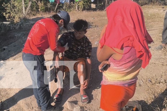 Foto: Enjambre de abejas afecta a varias personas en la comunidad El Dorado de Estelí/TN8