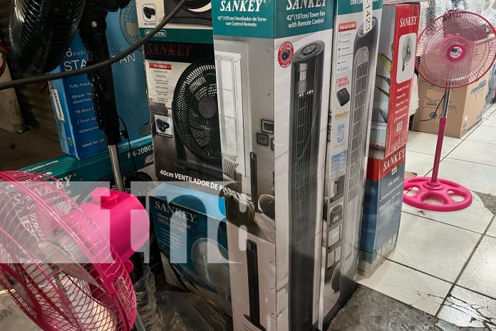 Foto: Mercado Roberto Huembes ofrece abanicos a precios accesibles/TN8 Foto: Mercado Roberto Huembes ofrece abanicos a precios accesibles/TN8