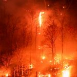 Declaran estado de emergencia en Nueva York por devastadores incendios Foto: Nueva York en estado de emergencia /Cortesía