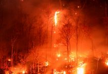 Declaran estado de emergencia en Nueva York por devastadores incendios Foto: Nueva York en estado de emergencia /Cortesía