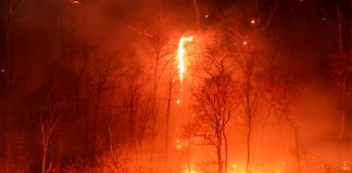 Foto: Nueva York en estado de emergencia /Cortesía