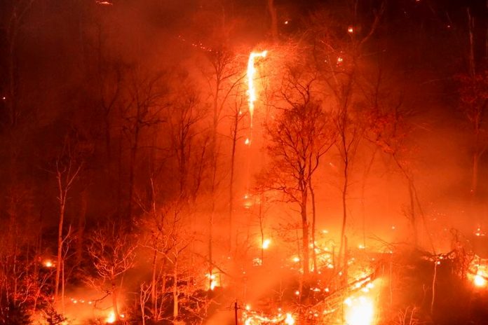 Foto: Nueva York en estado de emergencia /Cortesía