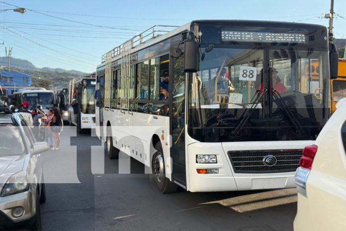 Foto: Buses chinos llegan a Matagalpa /TN8