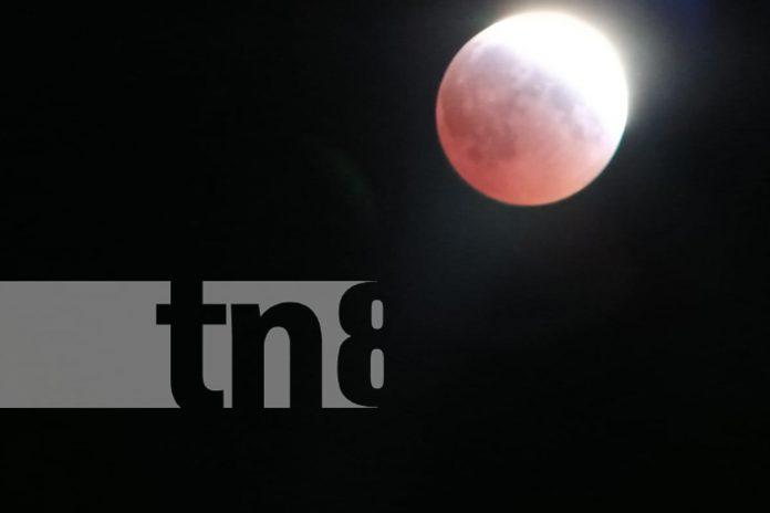 Foto: Eclipse lunar/TN8 Foto: Eclipse lunar/TN8