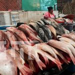 ¡Aprovecha ya! Mariscos frescos y baratos en el mercado Roberto Huembes Foto: Mercado Roberto Huembes se llena de compradores/TN8