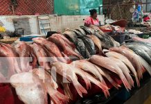 Foto: Mercado Roberto Huembes se llena de compradores/TN8