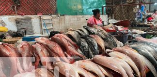 Foto: Mercado Roberto Huembes se llena de compradores/TN8