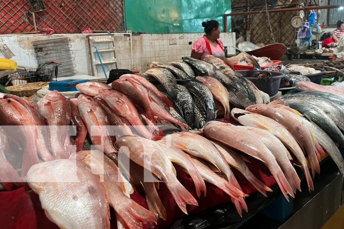 Foto: Mercado Roberto Huembes se llena de compradores/TN8 Foto: Mercado Roberto Huembes se llena de compradores/TN8