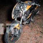 Foto: Caballo en la vía provoca accidente y deja tres personas lesionadas en Ometepe/TN8