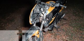 Foto: Caballo en la vía provoca accidente y deja tres personas lesionadas en Ometepe/TN8