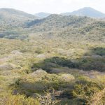 Marena refuerza compromiso ambiental en reserva finca El Aguacate, San Juan del Sur Foto: Marena refuerza compromiso ambiental en reserva finca El Aguacate, San Juan del Sur / Cortesía