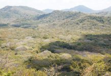 Marena refuerza compromiso ambiental en reserva finca El Aguacate, San Juan del Sur Foto: Marena refuerza compromiso ambiental en reserva finca El Aguacate, San Juan del Sur / Cortesía