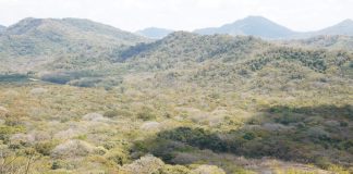 Foto: Marena refuerza compromiso ambiental en reserva finca El Aguacate, San Juan del Sur / Cortesía