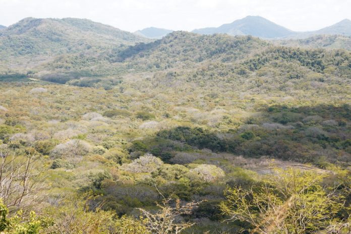 3 Foto: Marena refuerza compromiso ambiental en reserva finca El Aguacate, San Juan del Sur / Cortesía