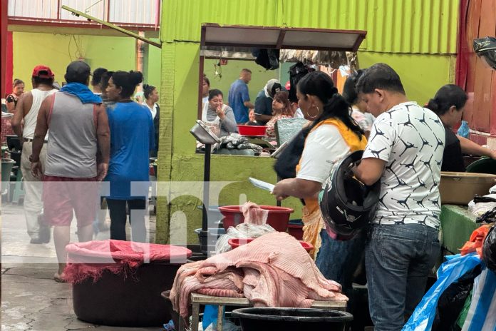 Foto: Alto consumo de mariscos en Chinandega/TN8