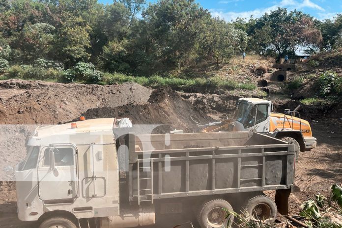 Foto: Alcaldía de Managua continúa con los trabajos de limpieza/TN8