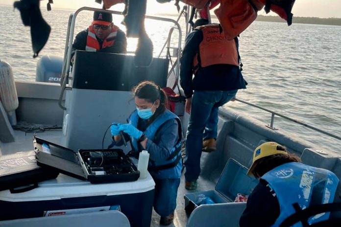 3 ENACAL monitorea calidad del agua en el Lago Xolotlán / Cortesía