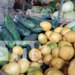 MIFIC: 13 productos de la canasta básica mantienen sus precios Foto: MIFIC presenta informe de precios/TN8