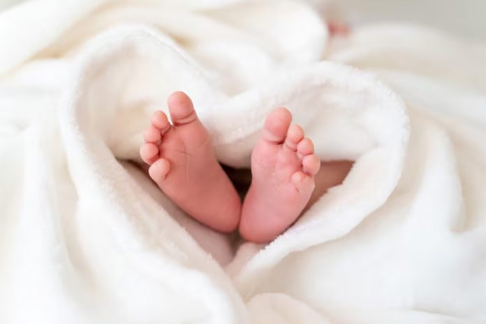 Foto: Chile registra el nivel más bajo de nacimientos en su historia /Cortesía Foto: Chile registra el nivel más bajo de nacimientos en su historia /Cortesía