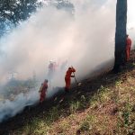De la teoría a la práctica: éxito en ejercicio nacional de control de incendios Foto: Ejercicio nacional de control de incendios / Cortesía